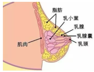 1754292396394051.png image.png