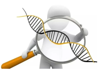 1754292435932624.png image.png