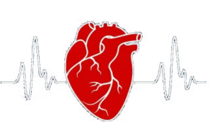 1754292763729309.png image.png